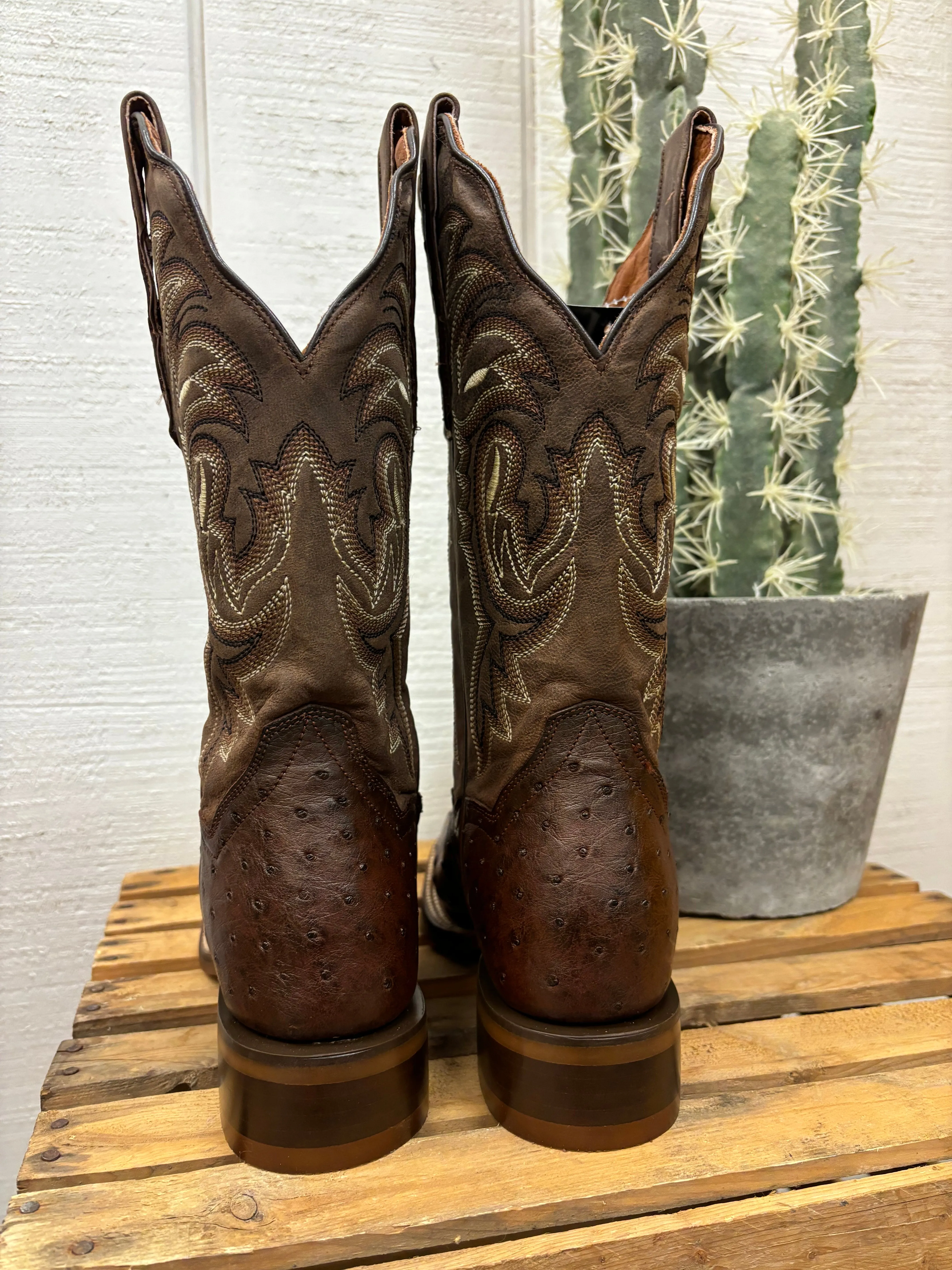 Dan Post Women's Kylo Chocolate Full Quill Ostrich Square Toe Cowgirl Boots DP5250