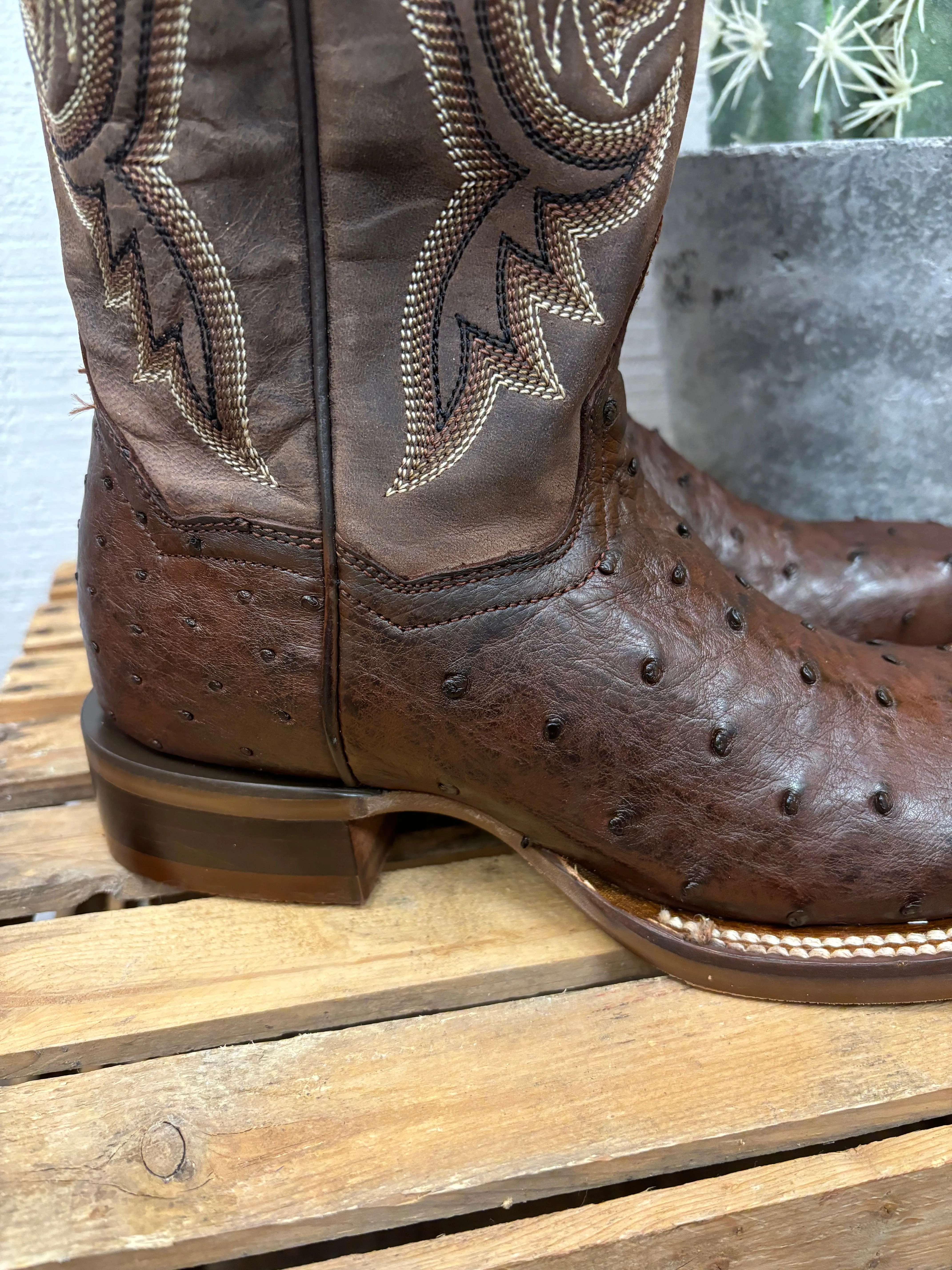 Dan Post Women's Kylo Chocolate Full Quill Ostrich Square Toe Cowgirl Boots DP5250