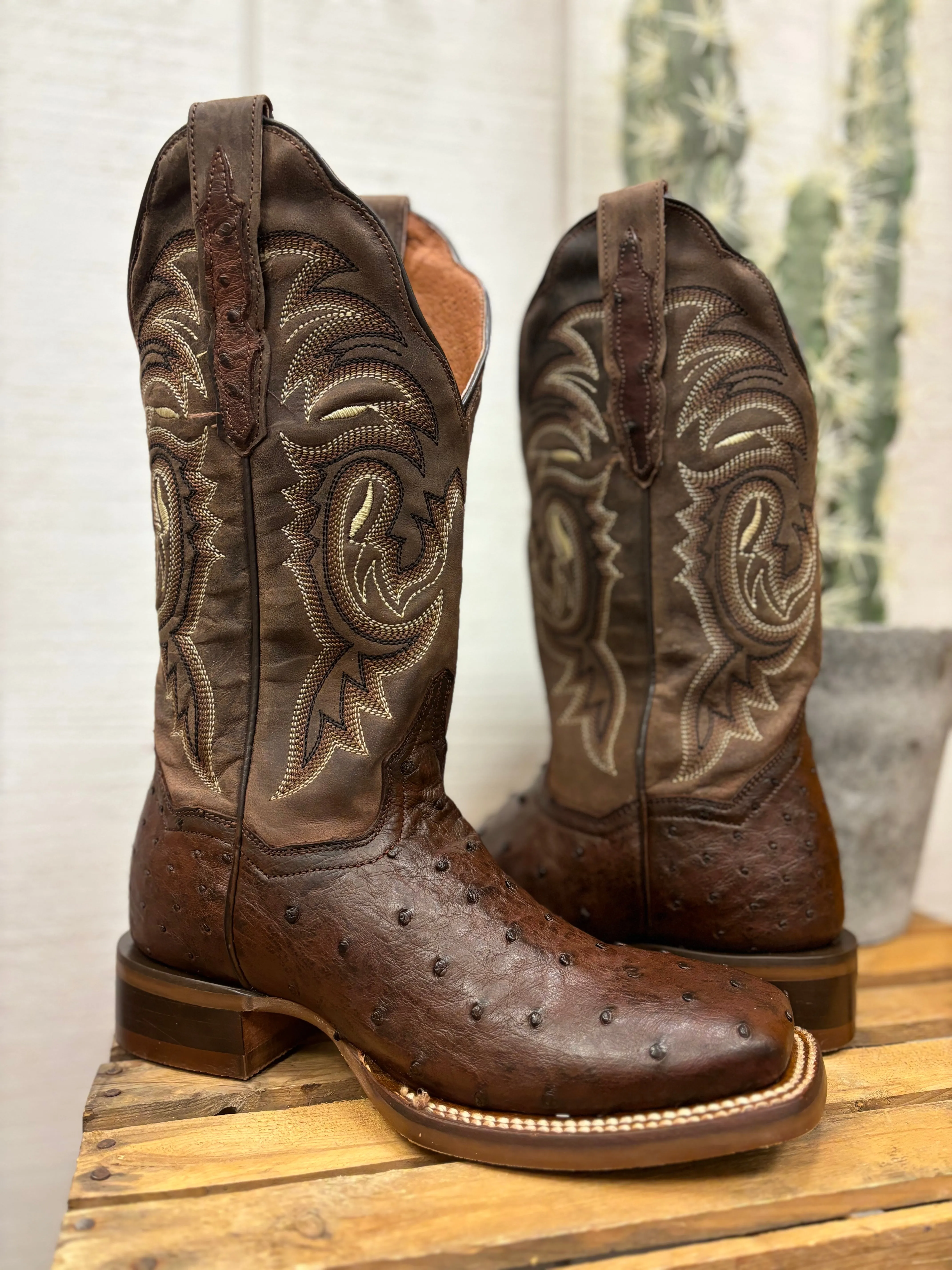 Dan Post Women's Kylo Chocolate Full Quill Ostrich Square Toe Cowgirl Boots DP5250