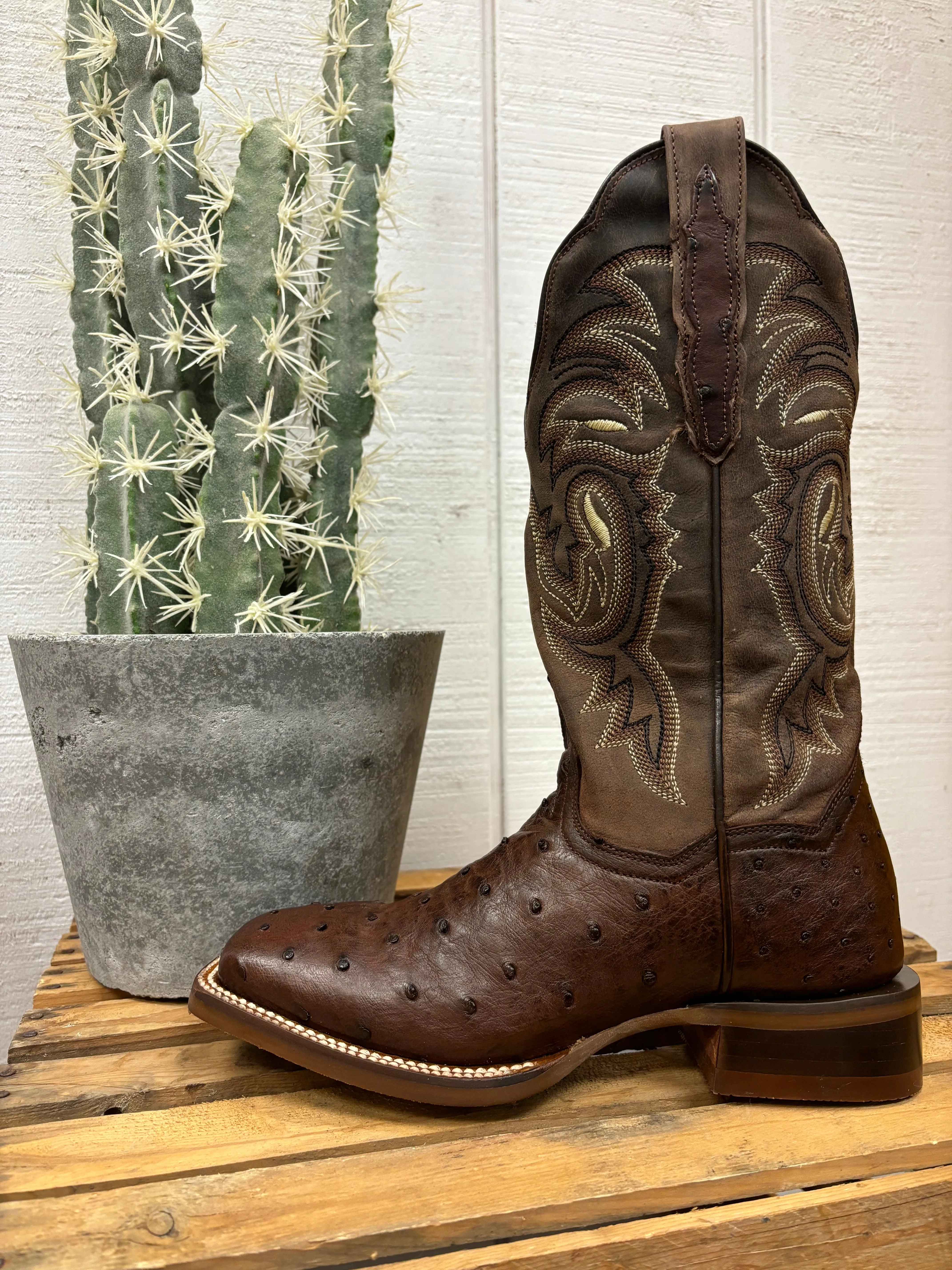 Dan Post Women's Kylo Chocolate Full Quill Ostrich Square Toe Cowgirl Boots DP5250