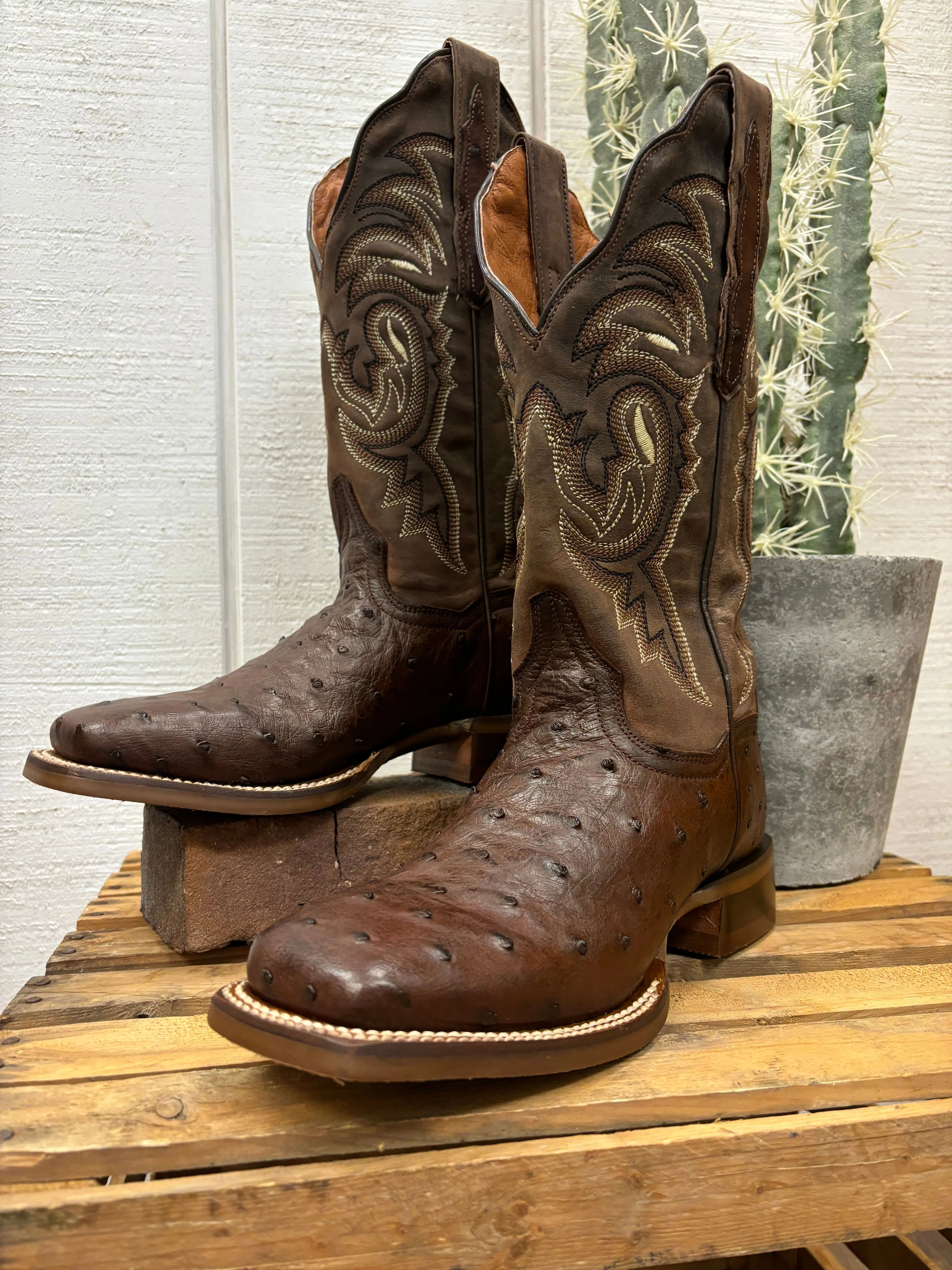 Dan Post Women's Kylo Chocolate Full Quill Ostrich Square Toe Cowgirl Boots DP5250