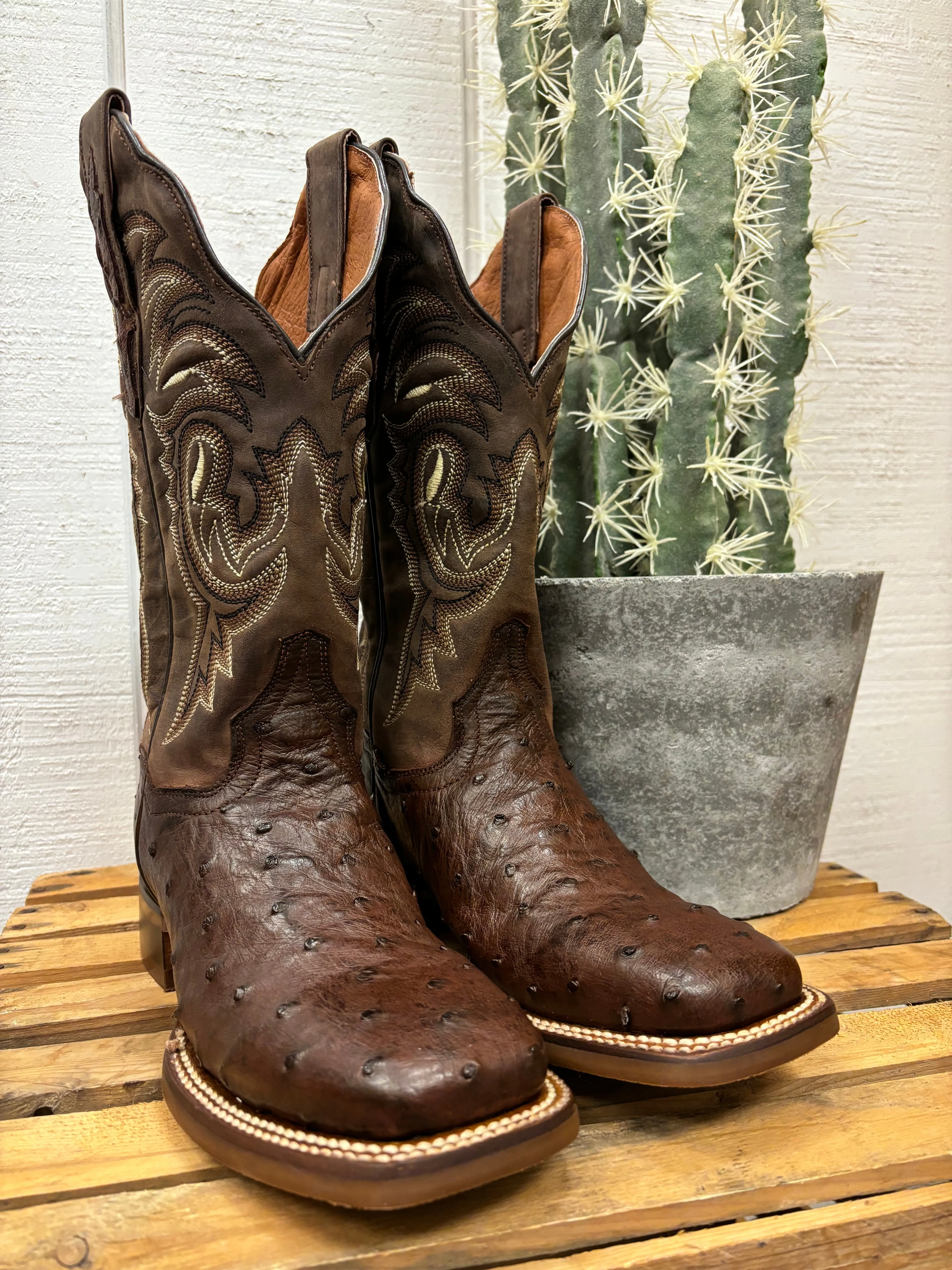Dan Post Women's Kylo Chocolate Full Quill Ostrich Square Toe Cowgirl Boots DP5250