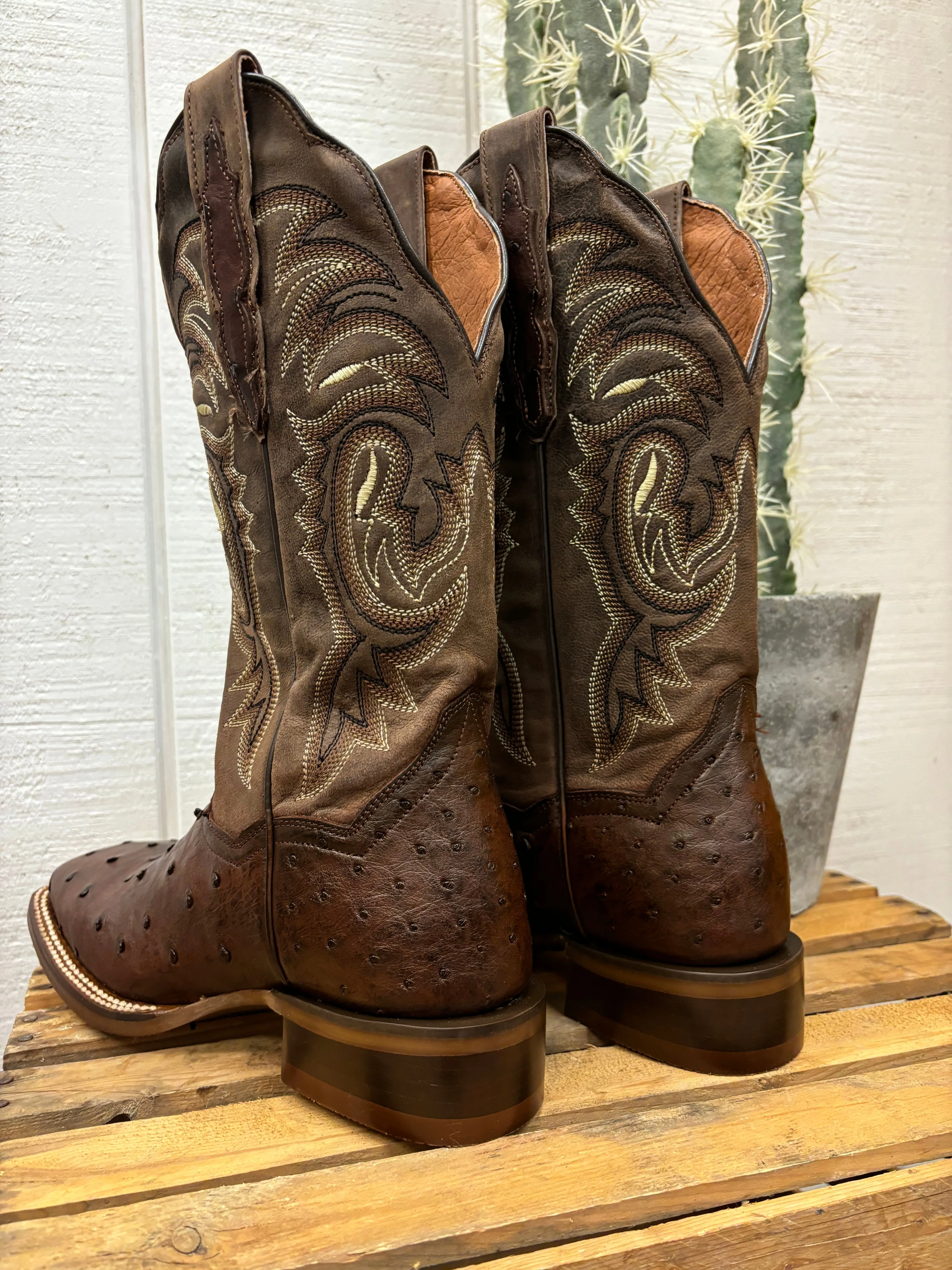 Dan Post Women's Kylo Chocolate Full Quill Ostrich Square Toe Cowgirl Boots DP5250