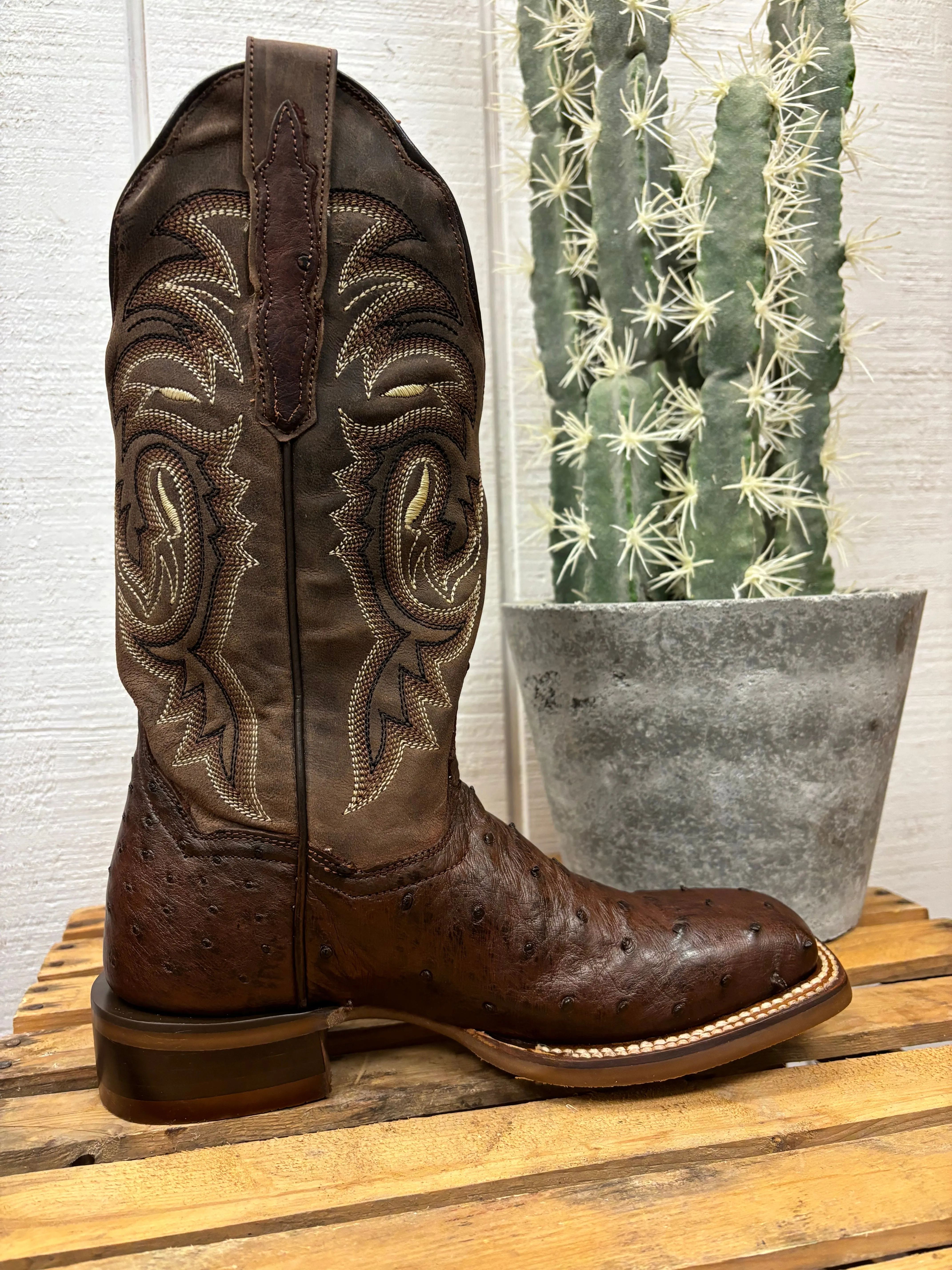 Dan Post Women's Kylo Chocolate Full Quill Ostrich Square Toe Cowgirl Boots DP5250